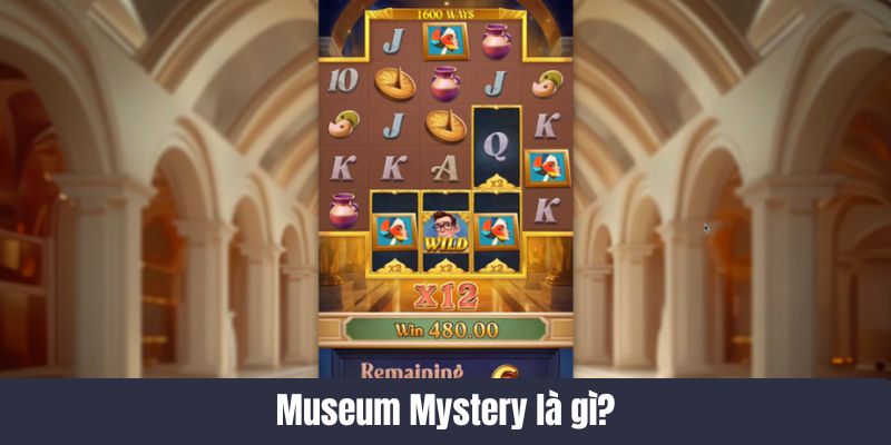 Museum Mystery