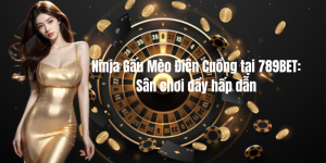 Ninja Gấu Mèo Điên Cuồng